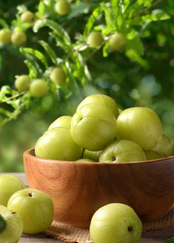 Amla Powder <span style=